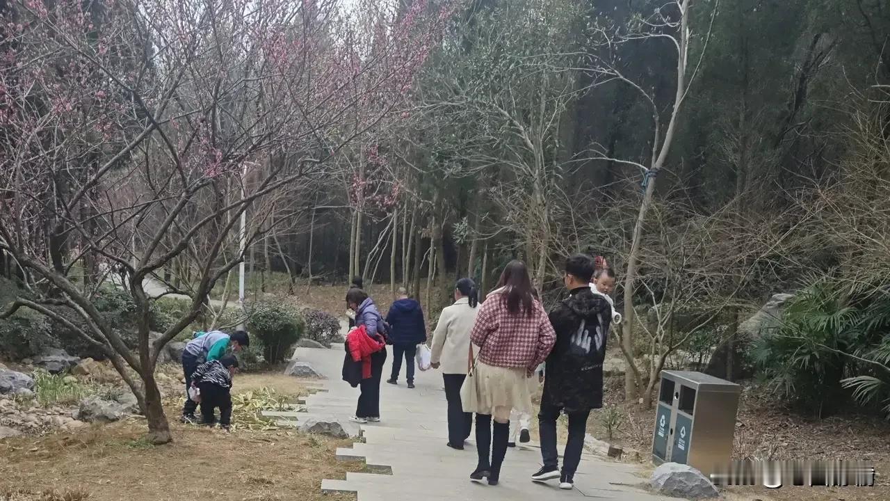 上联:桃李缤纷天下满
下联:杏梅绚烂地中盈
          (你对下联)
