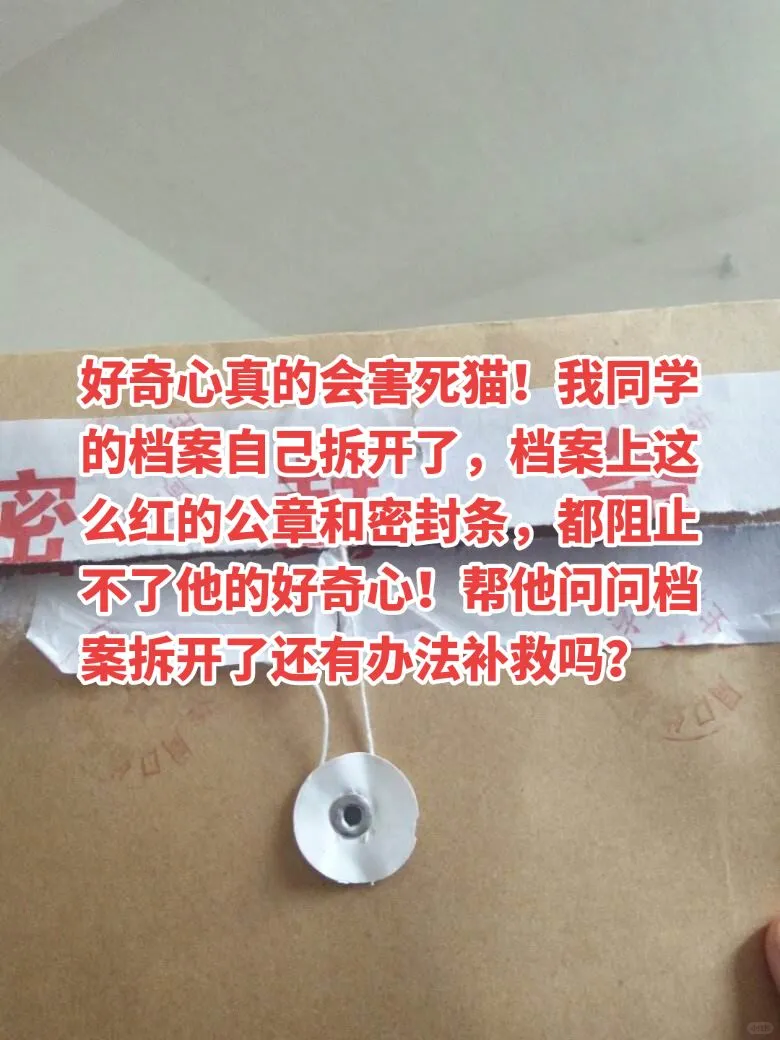 好奇心真的会害死人啊！档案不小心拆开咋办