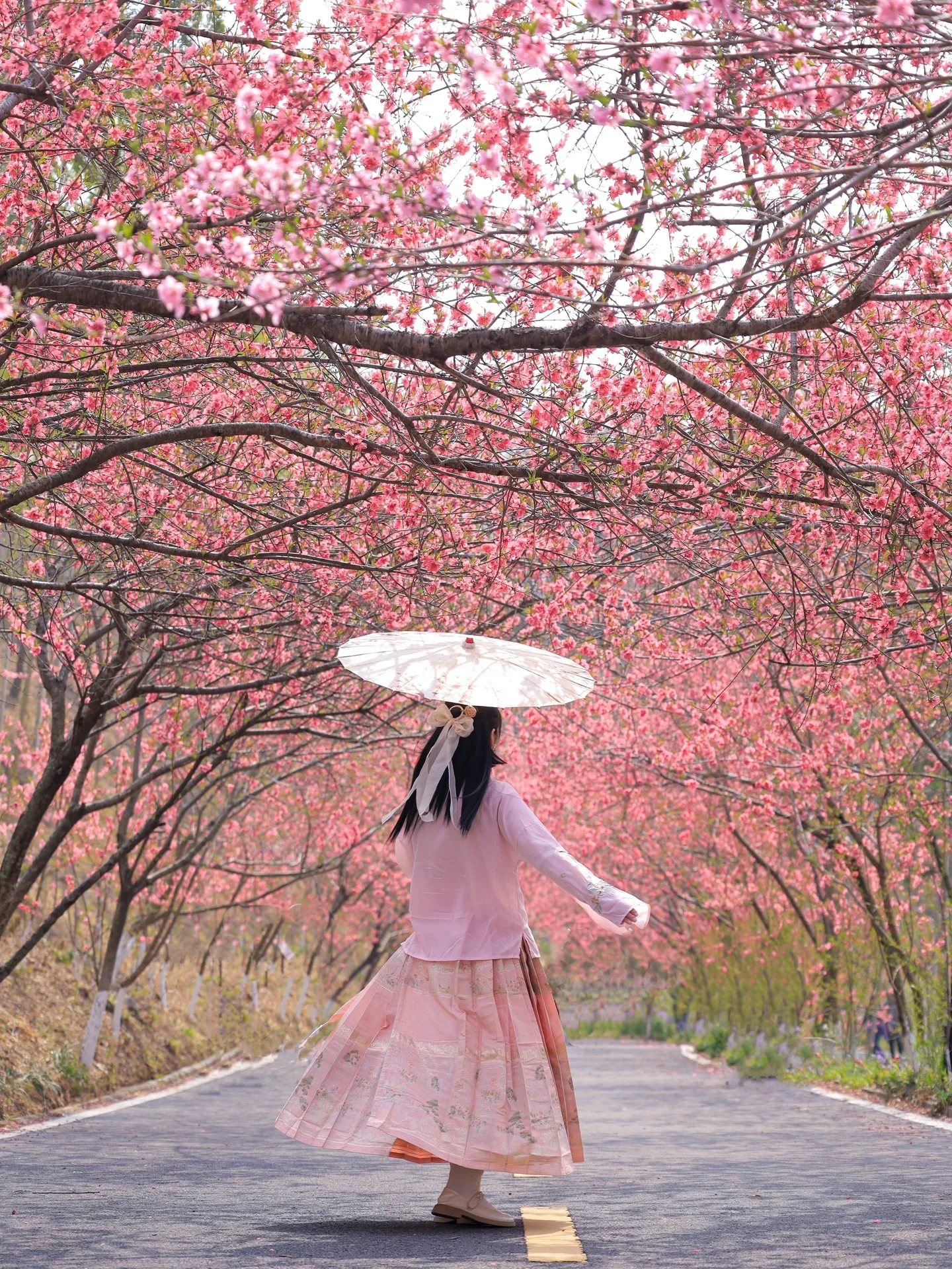 居然没人宣传！武汉被严重低估的花海徒步地