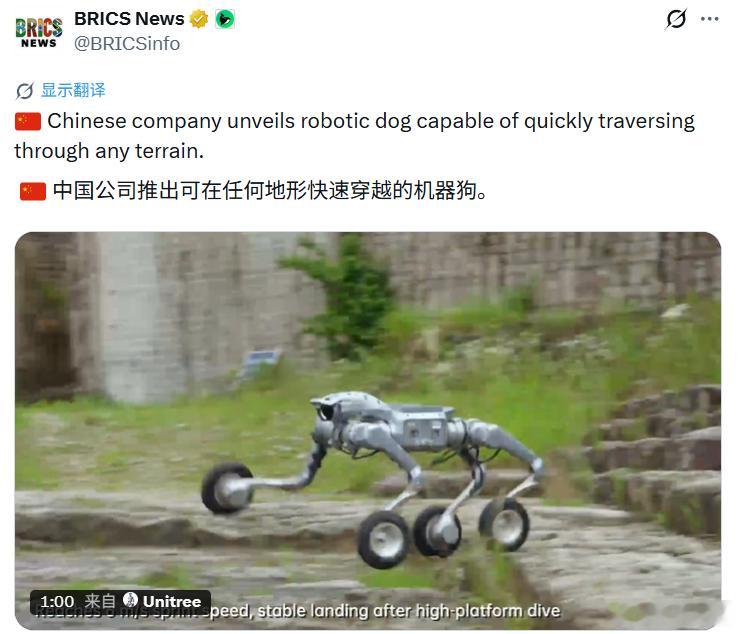 外媒：中国公司推出可在任何地形快速穿越的机器狗。有人留言：“这太吓人了！想象一下