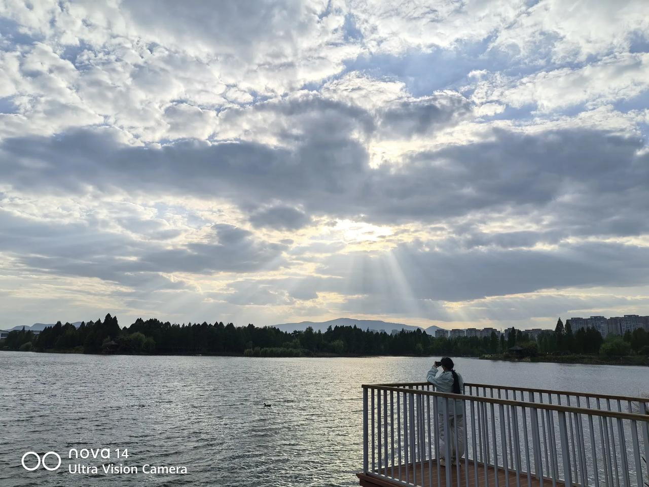 昆明官渡龙马村附近，西亮塘公园，周末溜娃好去处。
有花有树有水有云。