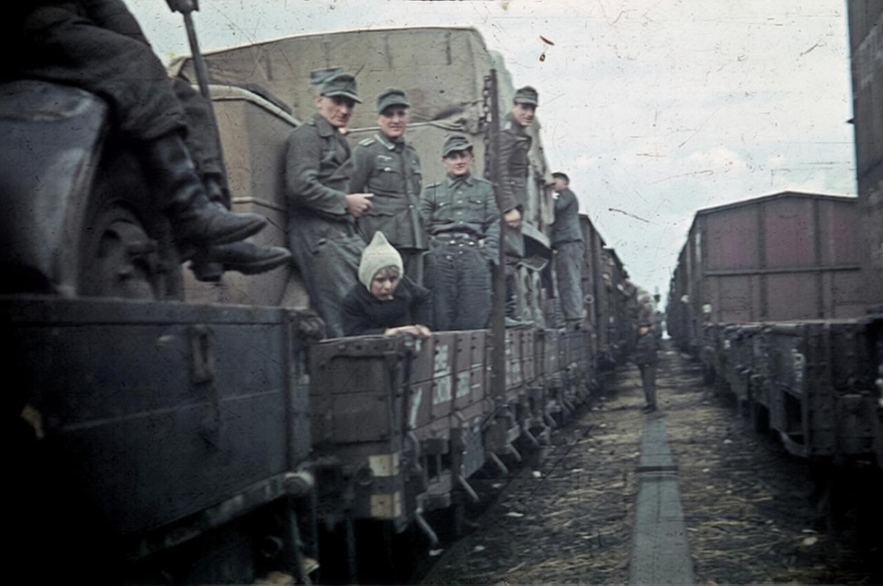 1944 年，在布良斯克与科诺托普之间的这片区域，苏德战场的激战仍在持续。这里地