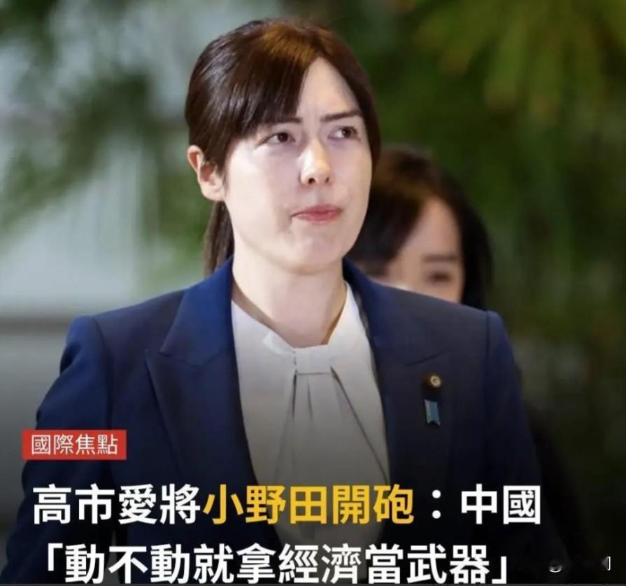 日本经济安全保障担当大臣小野田纪美突然宣布了，

对我方的批评，称我们“动不动就