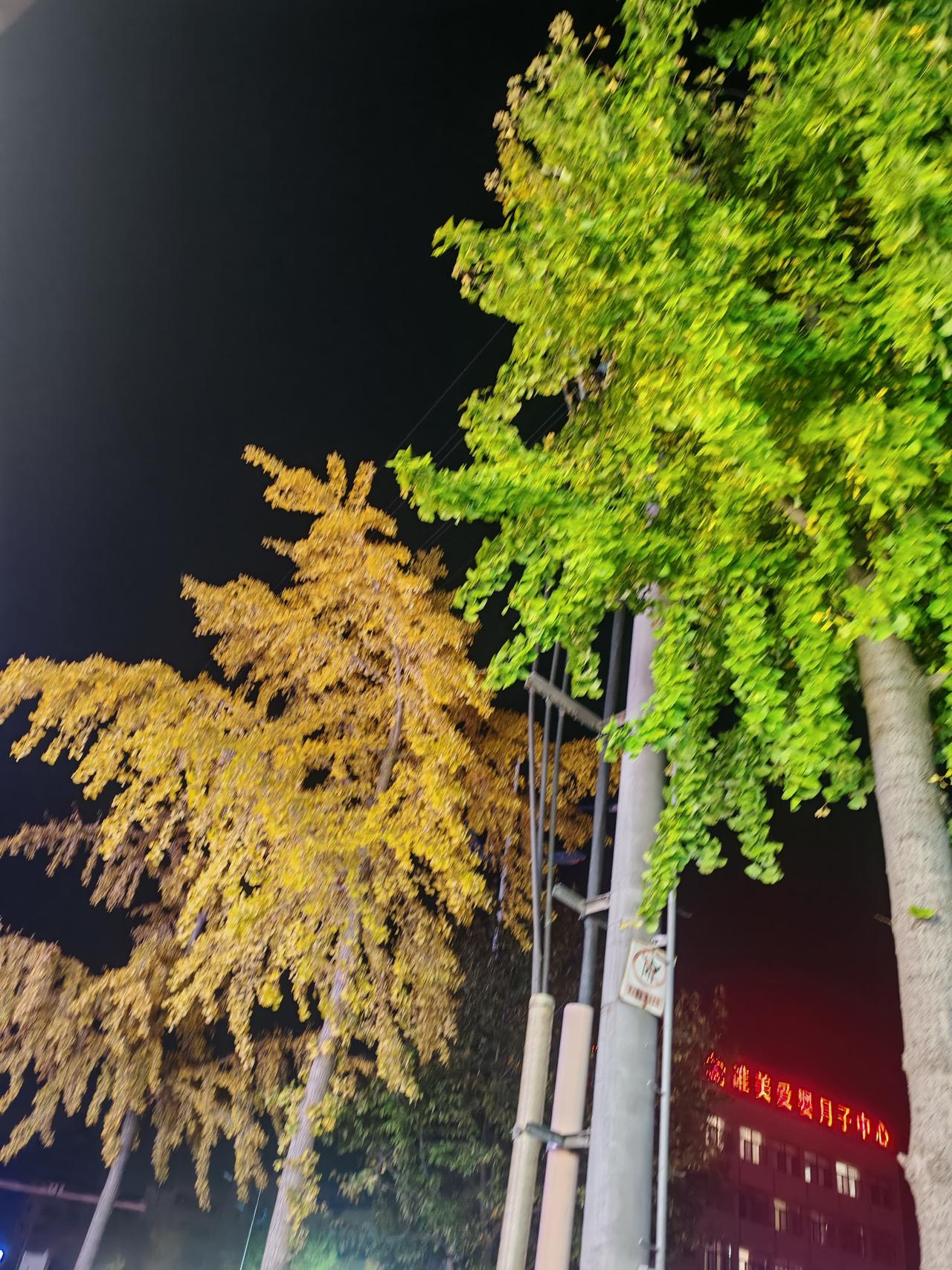 征文已经过关，感谢小伙伴们，我会继续助力你们的，不用回踩哦[祈祷]