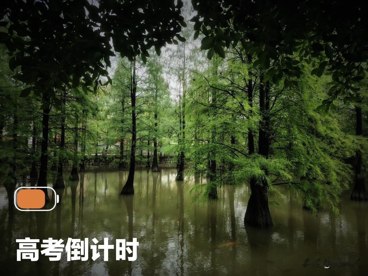 屈指可数的几天，高考生状态不一样。

有的恨不得多刷几套题，这时间，刷的是速度，