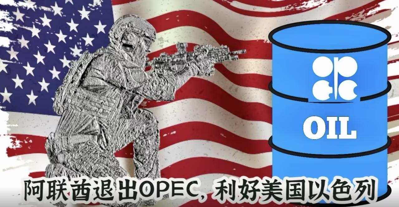 阿联酋突然“退群”OPEC，这波操作其实是冲着伊朗去的。

阿联酋突然扔出的“退