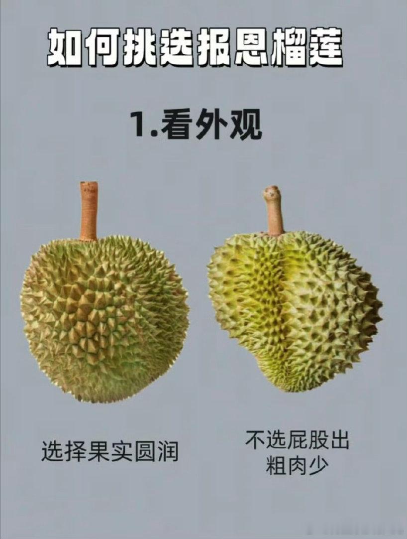 榴莲成了音乐节硬通货 长沙音乐节也太会玩了！现场直接发上百斤榴莲，听歌还能抱榴莲
