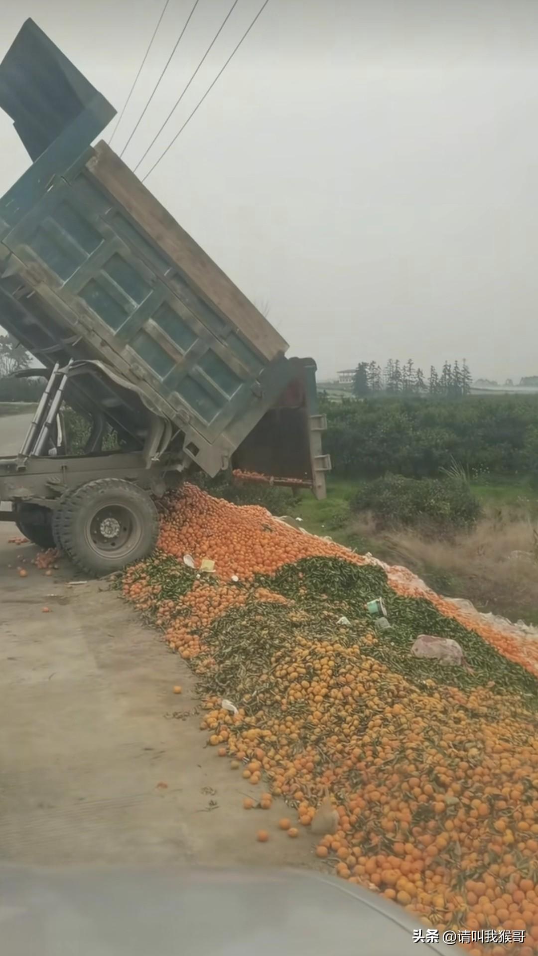 这样扔了好可惜啊……