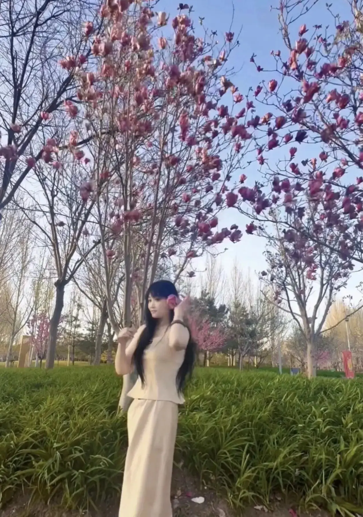 粗来沾个花 惹个草