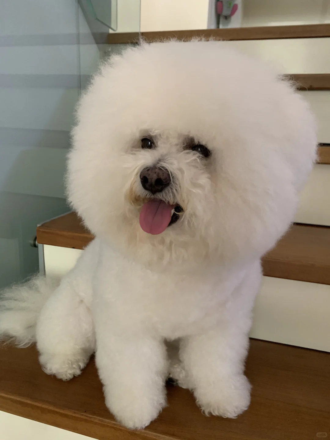 翻新后😳 白一天