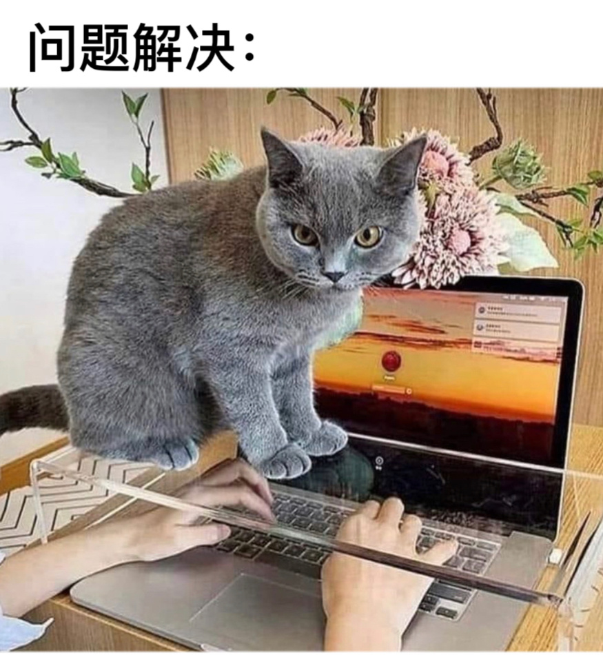 没辙了吧#今日memes# //#新年快乐漫游指南# //#转发接龙开新年# ​