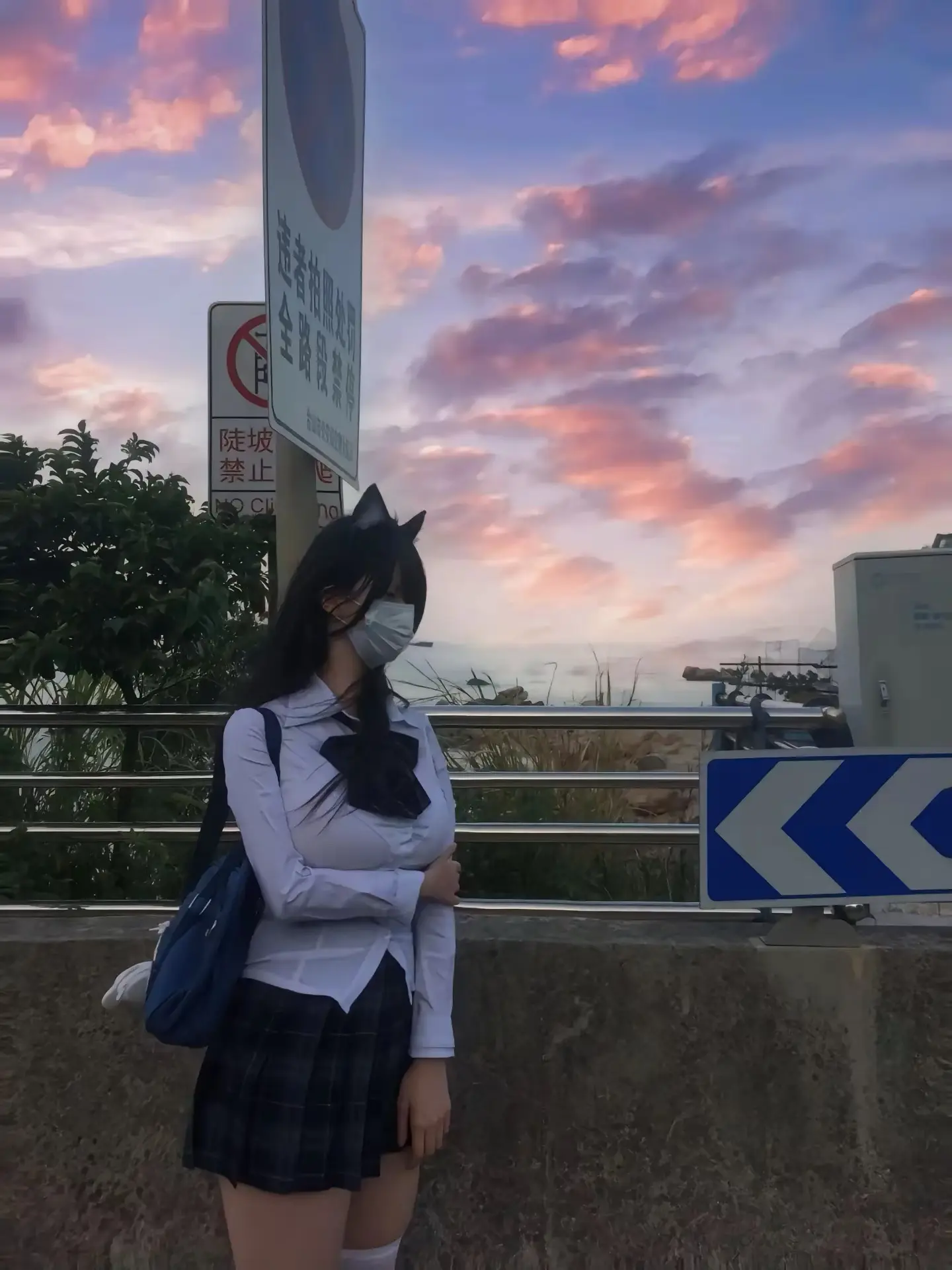在海边种下玫瑰 和朝阳浪漫约会