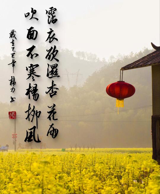 杏花雨