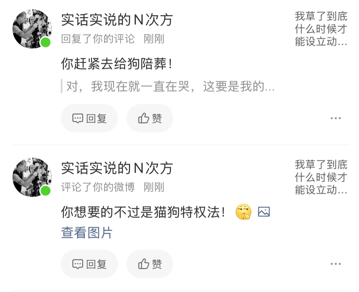 一眼就知道这位又忌恨上别人的狗的好日子了 