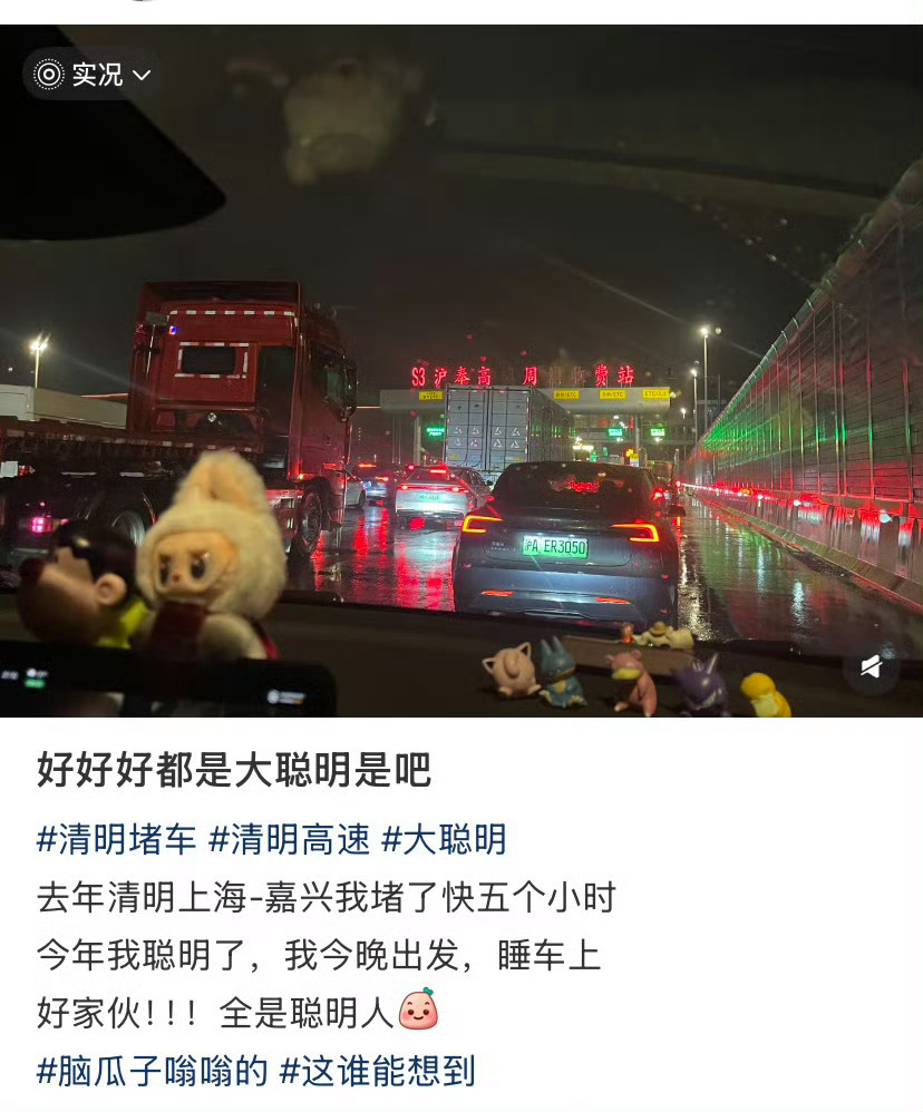 清明前一天出发的大聪明堵在高速上节假日高速免费，大家都想抢跑避堵结果一上路全是同