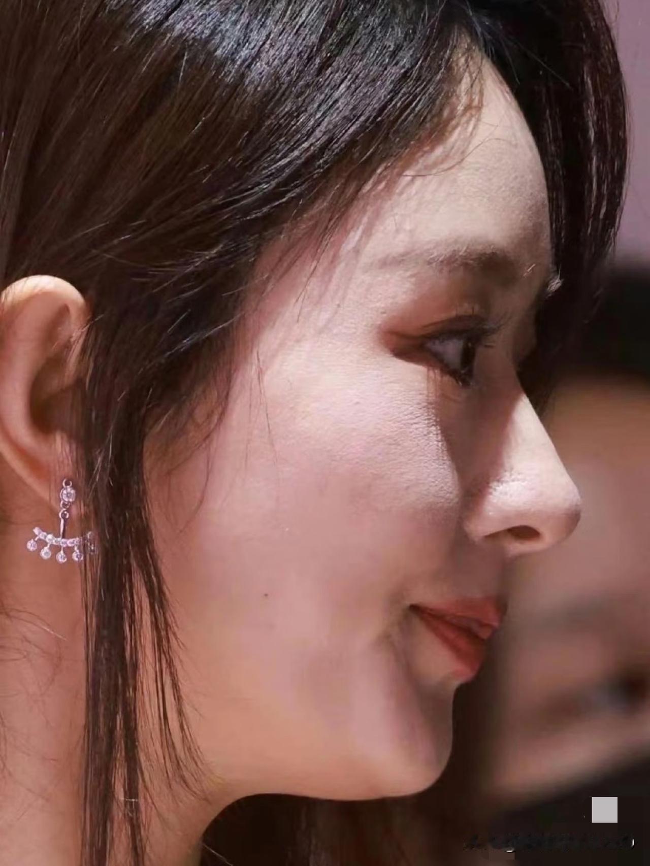 赵丽颖的侧颜杀太绝，颜值直接拉满满分水准