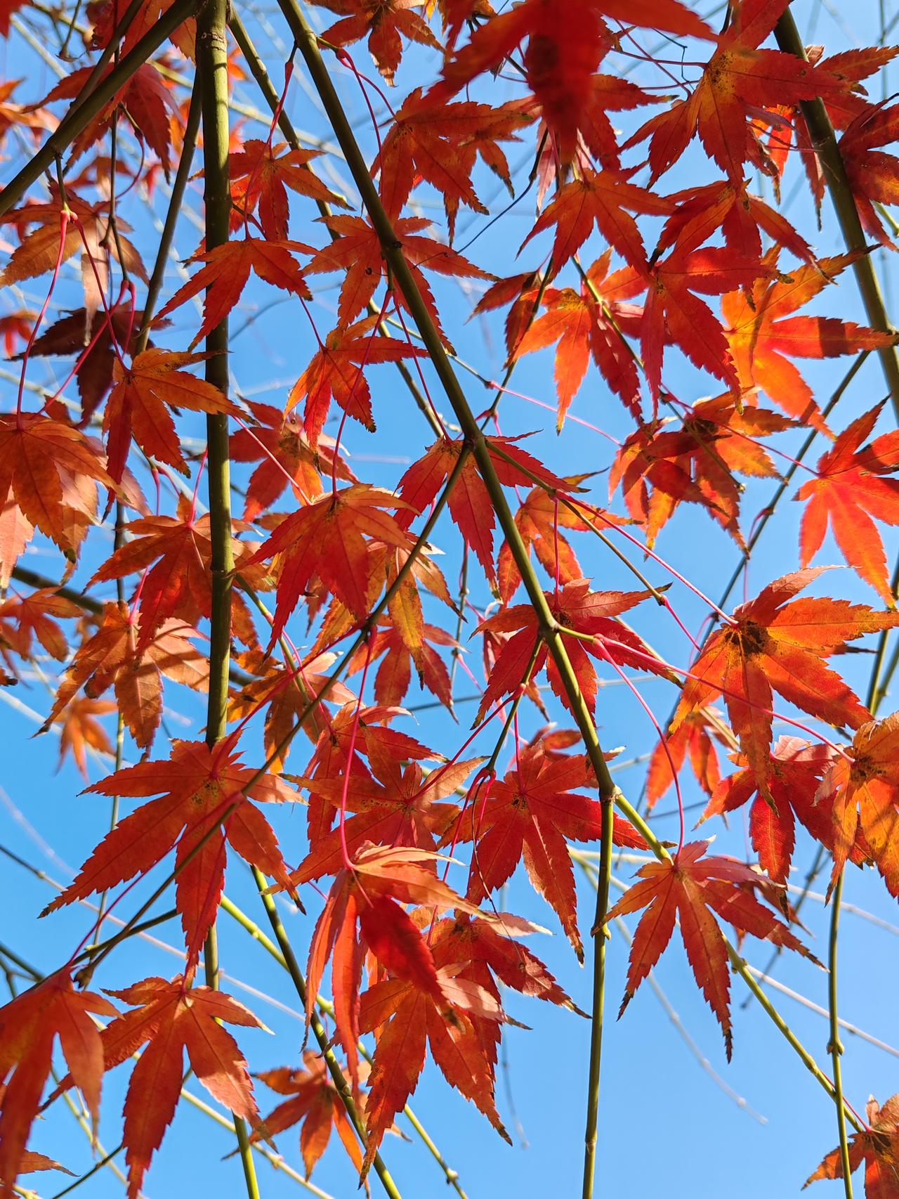 晒图笔记大赛随手拍。