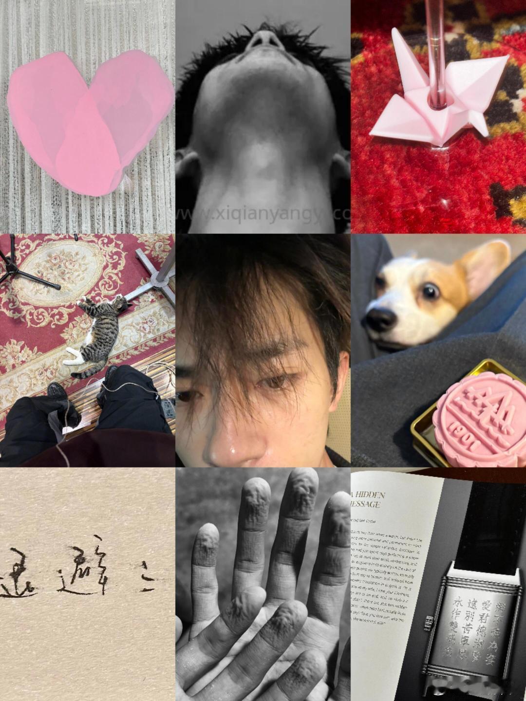 每次点开四字的照片就像收到一封手写信，色调暖暖的、节奏缓缓的，这种不带修饰的真实