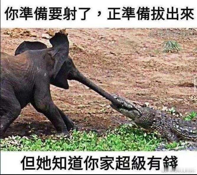 出轨做试管婴儿男子十多年前就曾出轨为什么不离婚？是舍不得男方提供的远超她个人能力