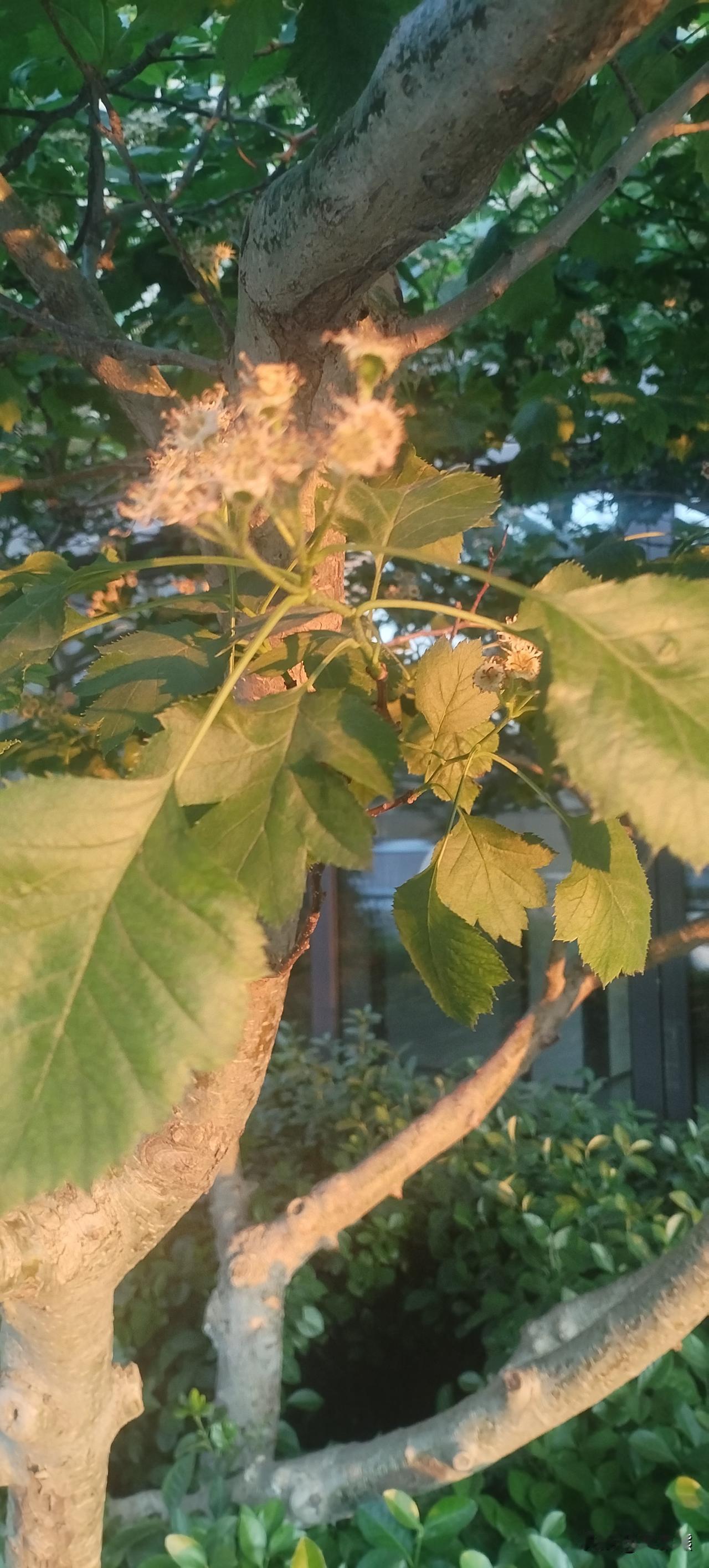 这么多年过去了，能记住的老师没几个，那些一板一眼上课的老师，还有点印象，但是那些