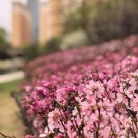 我的今日状态：😁轻松愉快
我这里的天气：☀️晴天
以微步赴远不慌不忙，以觉知归