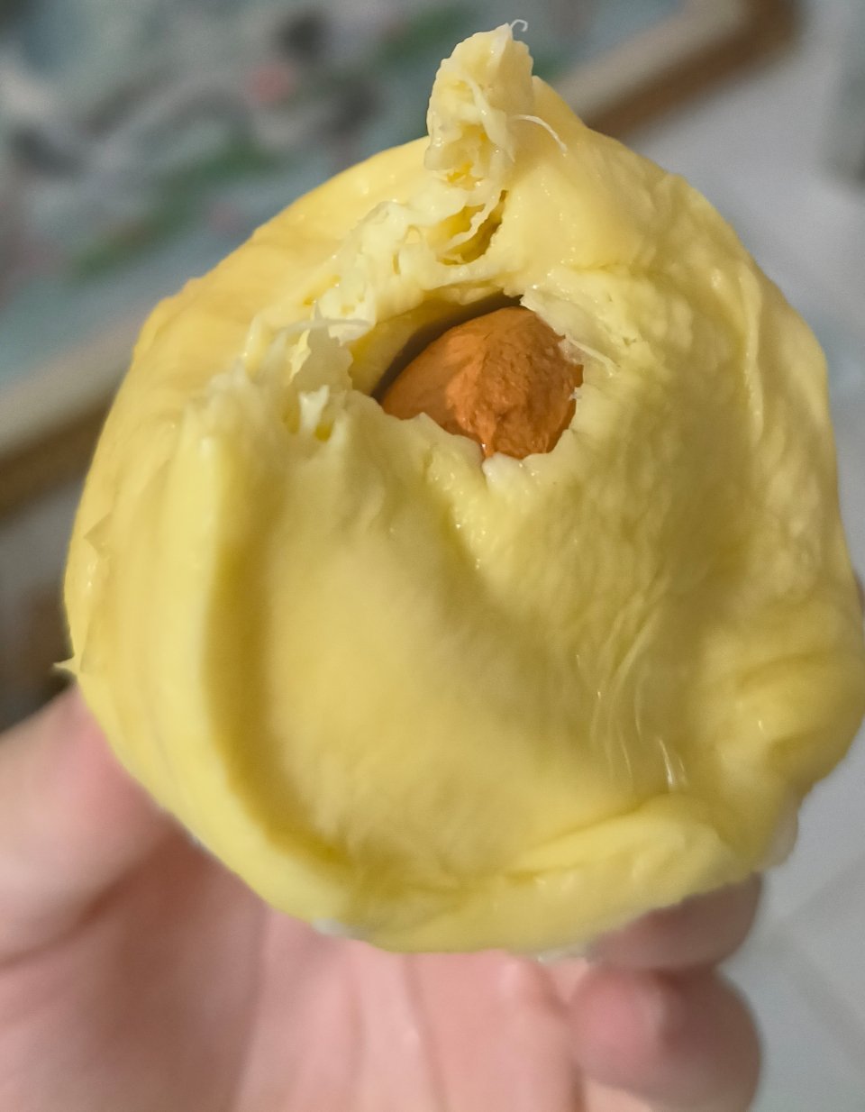美味的榴莲 