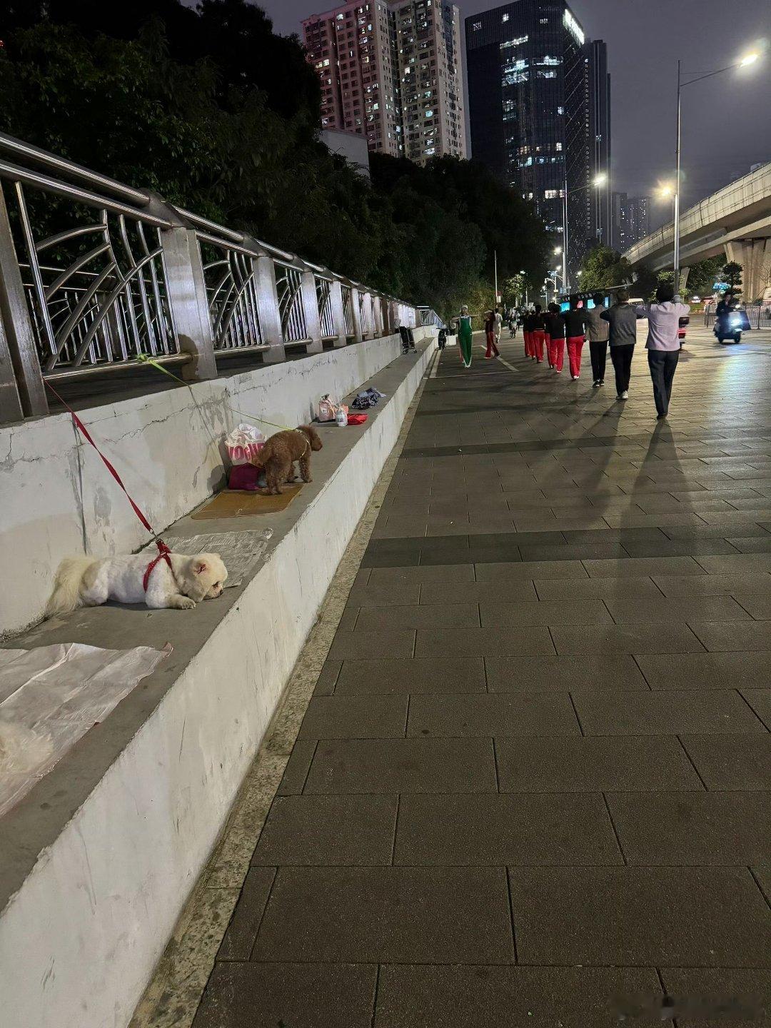 青海摇是年轻人自己的广场舞 青海摇，年轻舞者的独特风采，是广场上跃动的青春旋律。