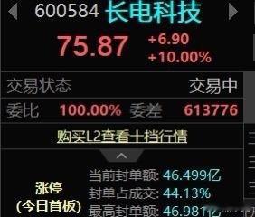 长电科技600584成功涨停！封单挺大！有跟上的朋友吗？ 