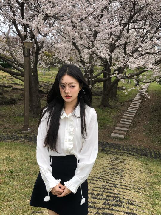 jeju🕊️阴天的樱花树下