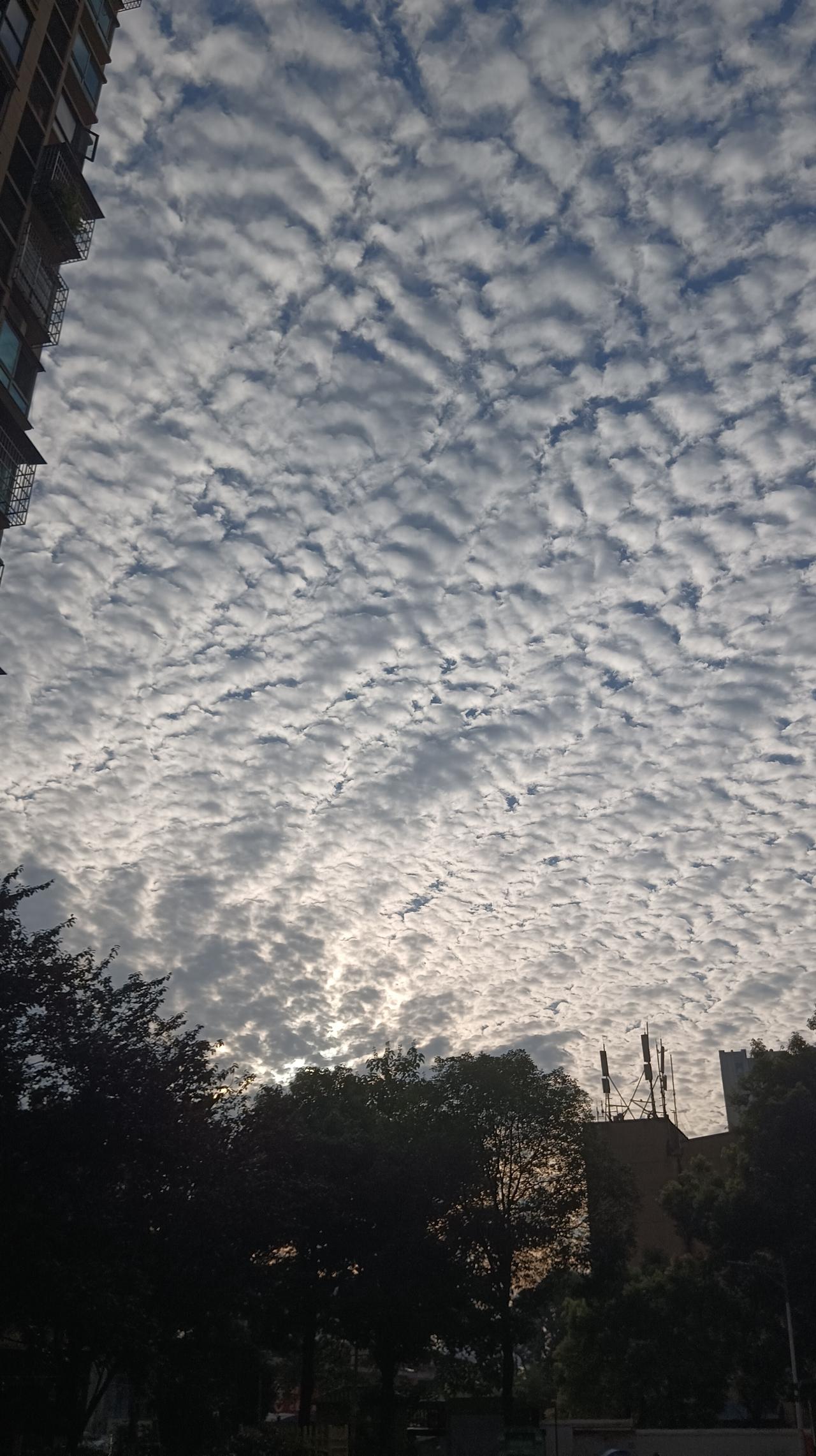 晒图笔记大赛小区的天空