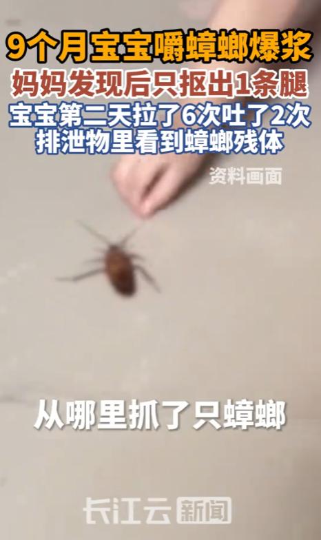 “心一下子提到了嗓子眼！”湖南一位宝妈刚把做好的辅食摆上桌，就转身去拿了下勺子。