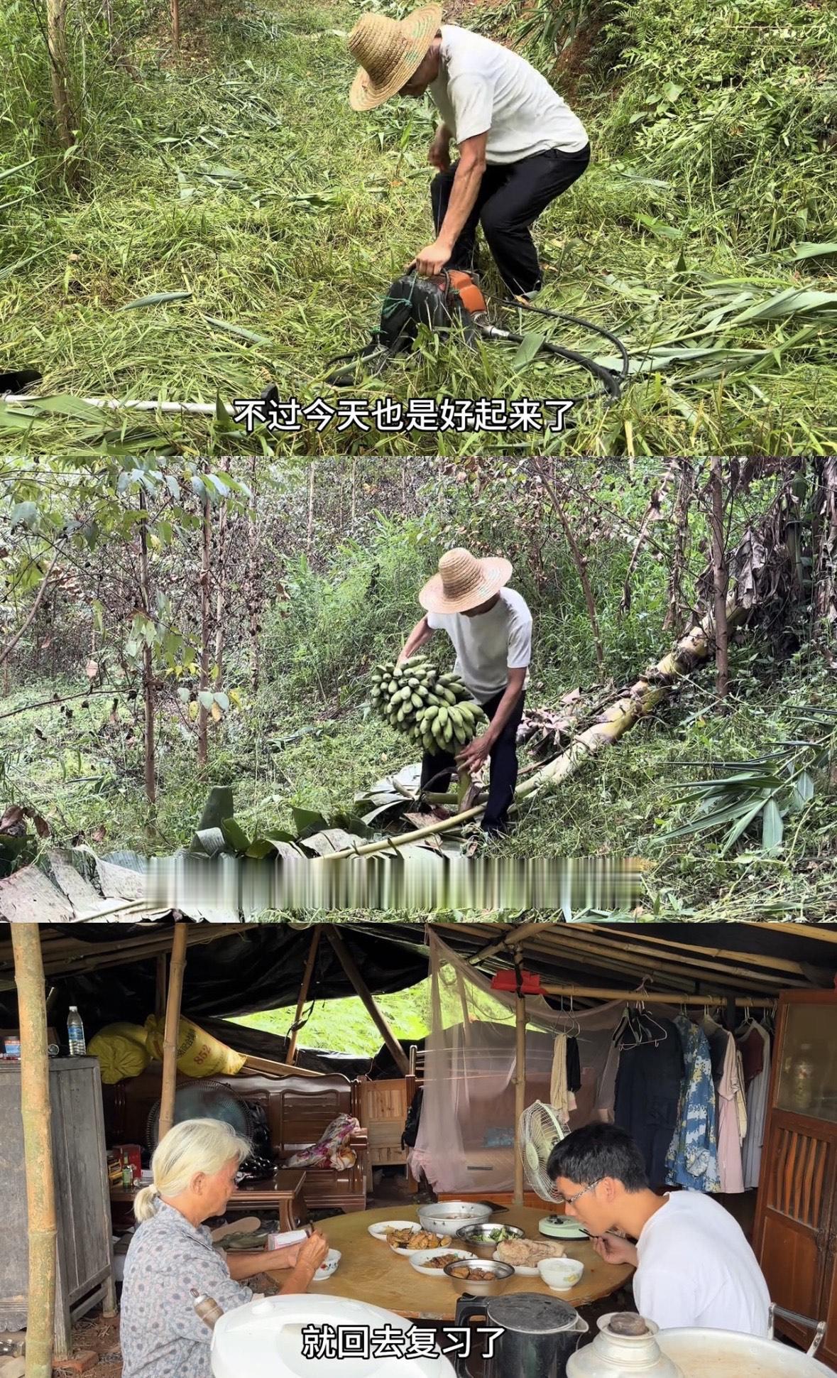 放假三天唐尚珺没闲着，每天六点起床去自家山头给树锄草。

唐尚珺怕老妈说大学生睡