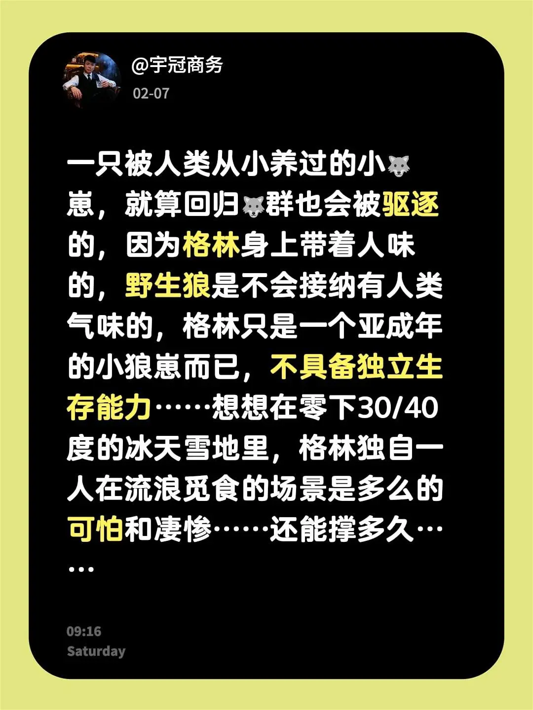 狼王格林绝望的眼神。我评论了 的作品： 一只被人类从小养过的小🐺崽...
