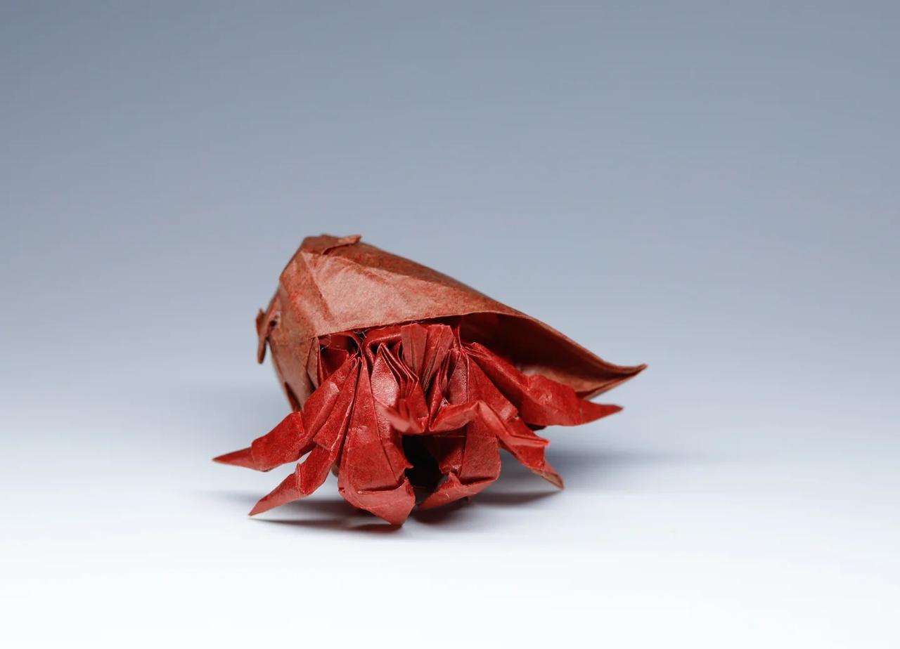 寄居蟹
设计：@九月的狮子
折制：我
很棒的设计，可以整形的很立体
使用20cm