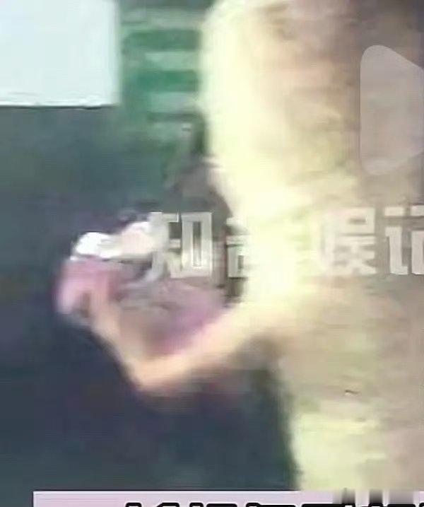 齐思钧女朋友疑似马凡舒齐思钧现女友疑似马凡舒齐思钧疑似新女友马凡舒，两人早年是同