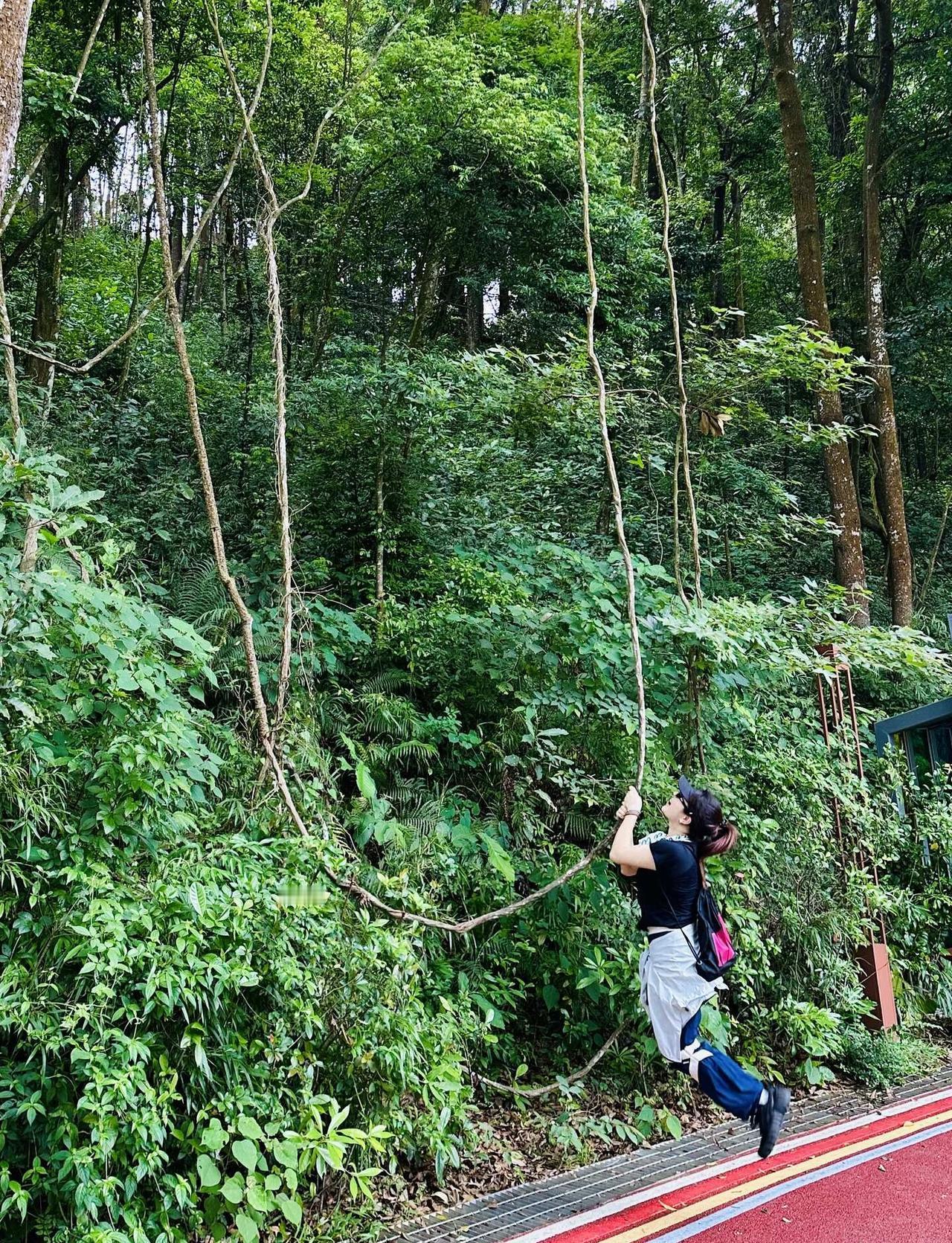 人呐～果然是吗喽🐒进化来的！
在大森林🌳找回了当吗喽的快乐～
一路走走停停只