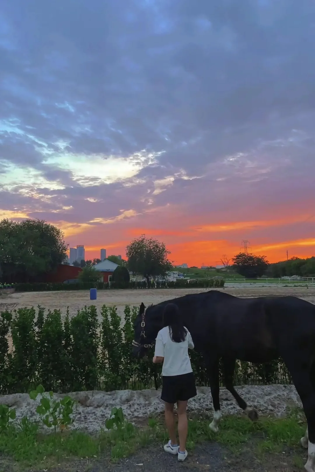 往年今日的马场