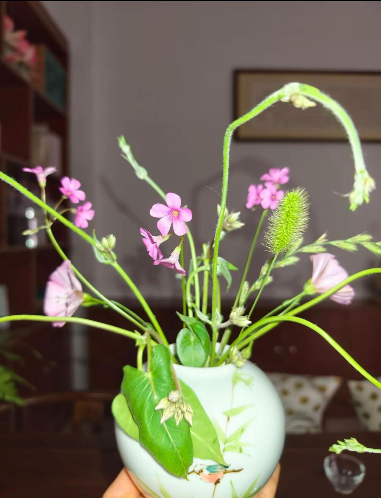 5月下旬到6月初是水汽最强的阶段，如果说未来总是不可预判，那我们不如学会珍惜当下