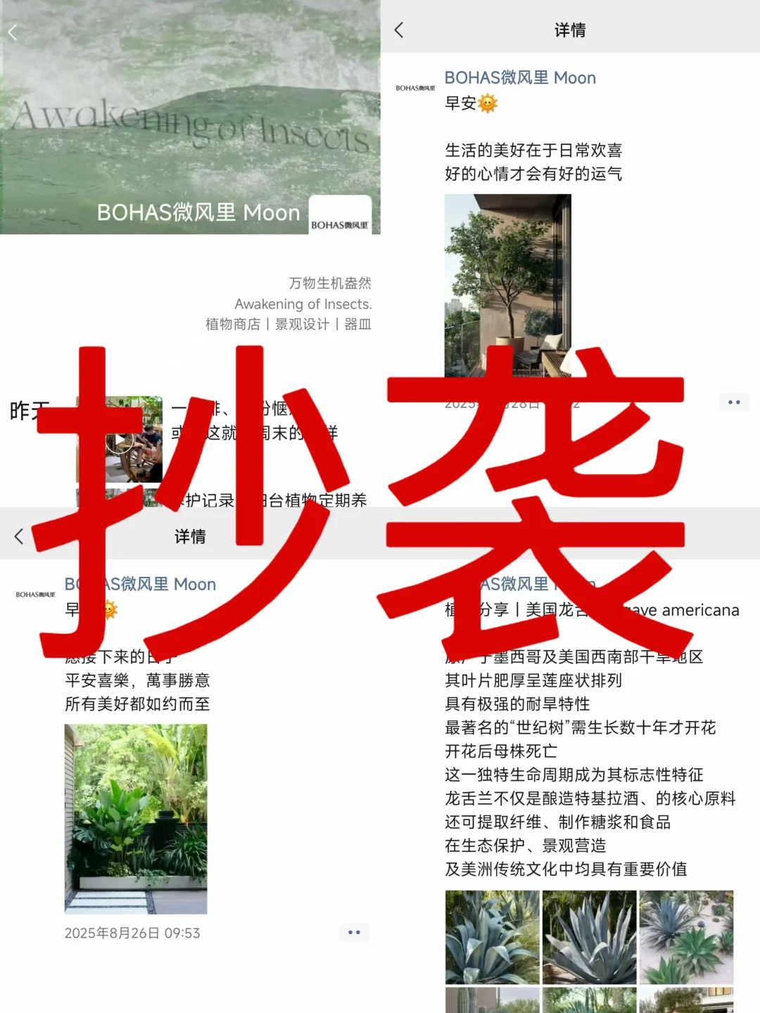 东莞微风里，请立刻停止你的偷盗抄袭行为！！！