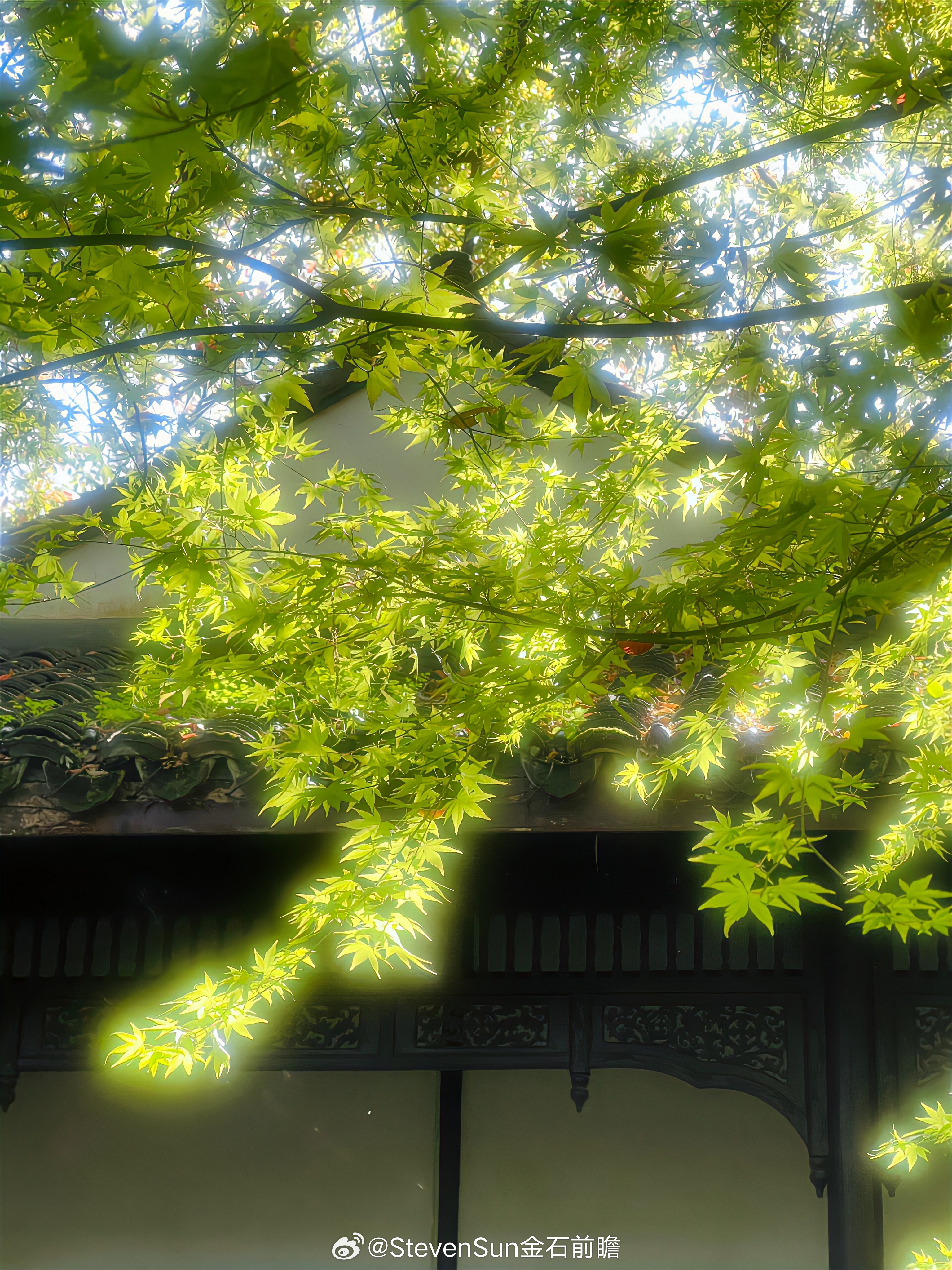 我见过持续盈利的人，都在追求低难度的交易。我自己刚开始做交易的时候，也总喜欢挑战