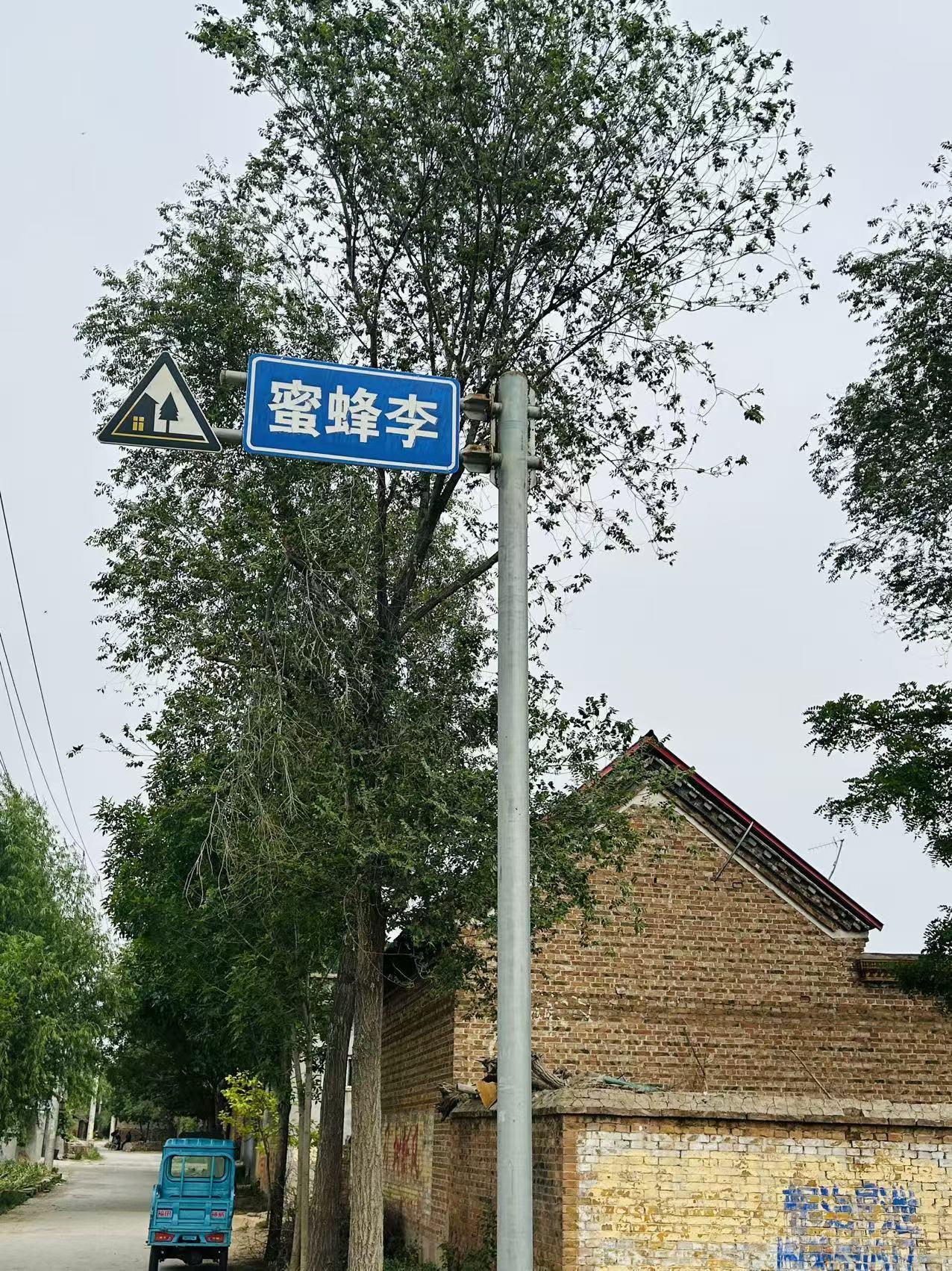 定陶区张湾镇蜜蜂李村
位于张湾镇一千王东北约 2 千米，是前寨行政村下辖的自然村