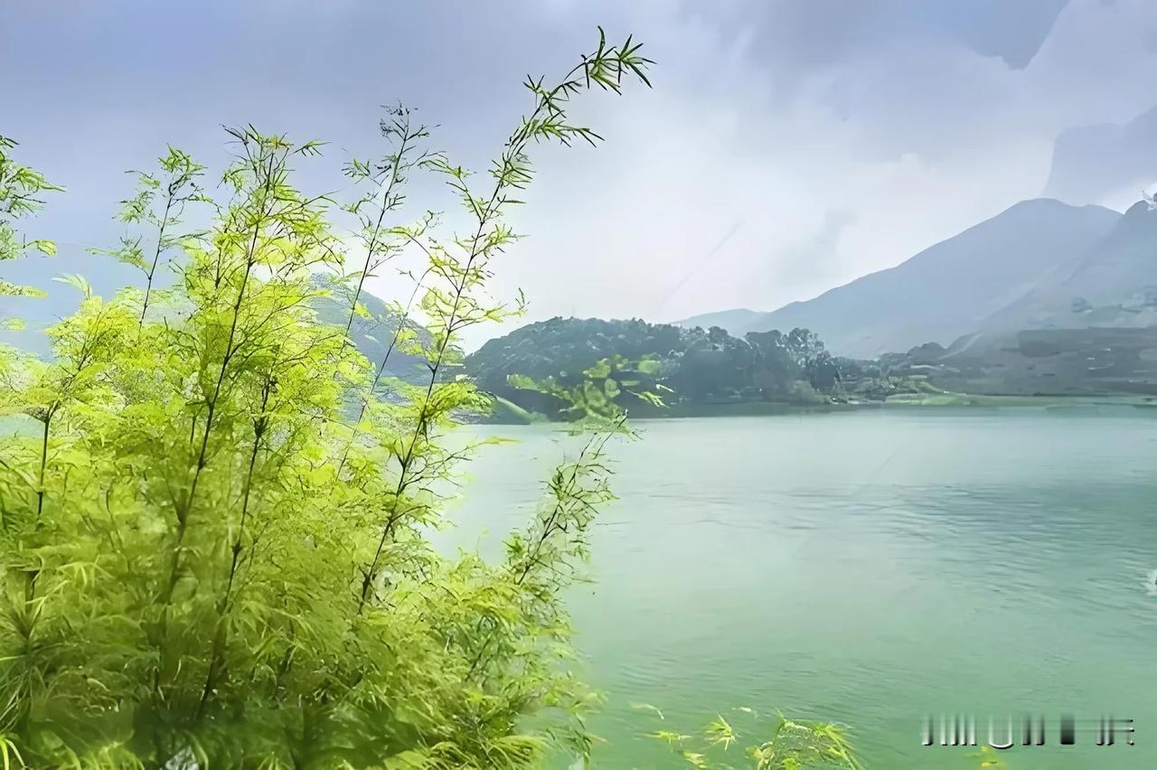七律：村居遣兴
湖边漫步独徘徊，屋后山坡翠竹栽。
扫地尽除尘土去，烹茶只待故人来