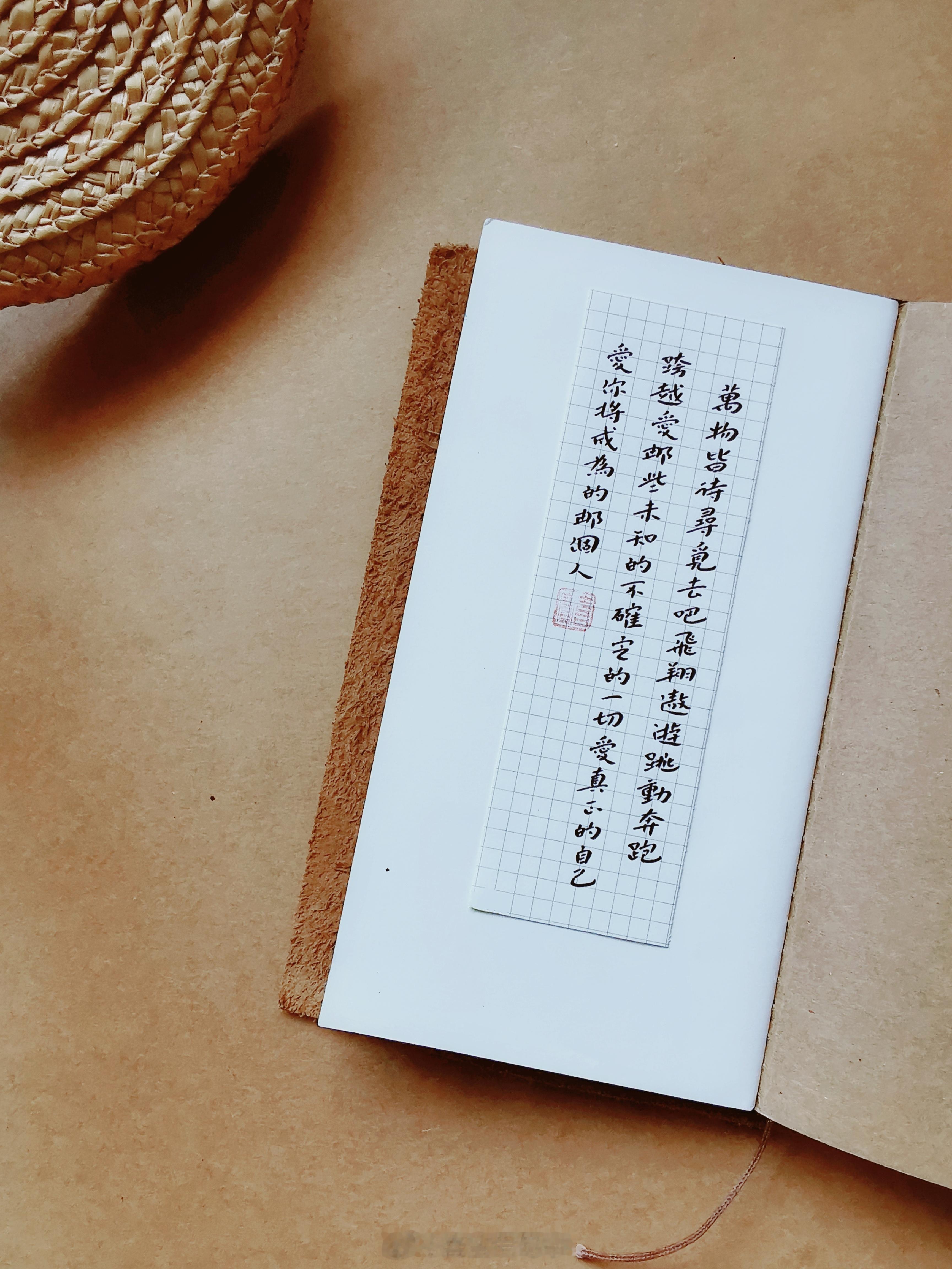 万物皆待寻觅。去吧，飞翔，遨游，跳动，奔跑，跨越，爱那些未知的、不确定的、尚未遇