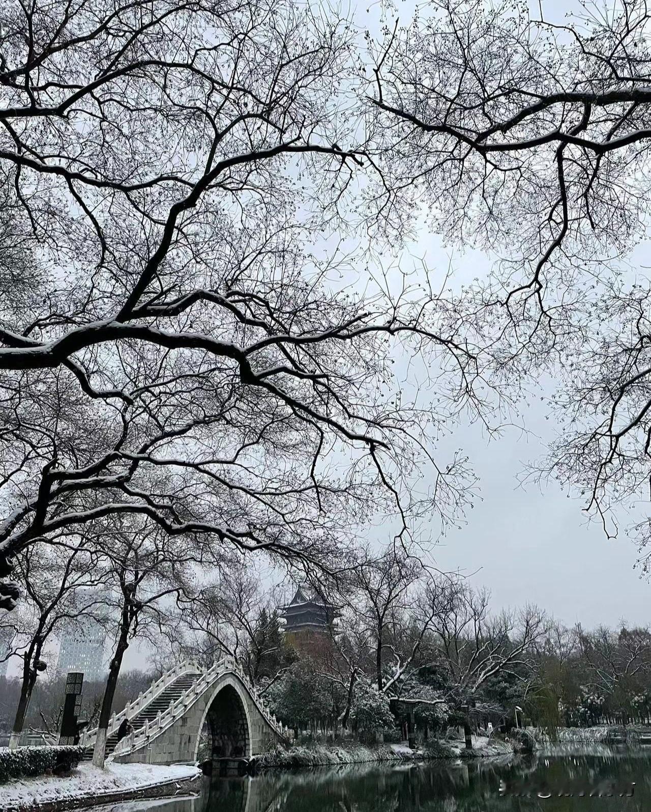 给2026的自己写句话也无风雨也无晴。