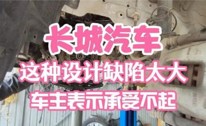 长城汽车这种设计缺陷大  车主表示承受不起