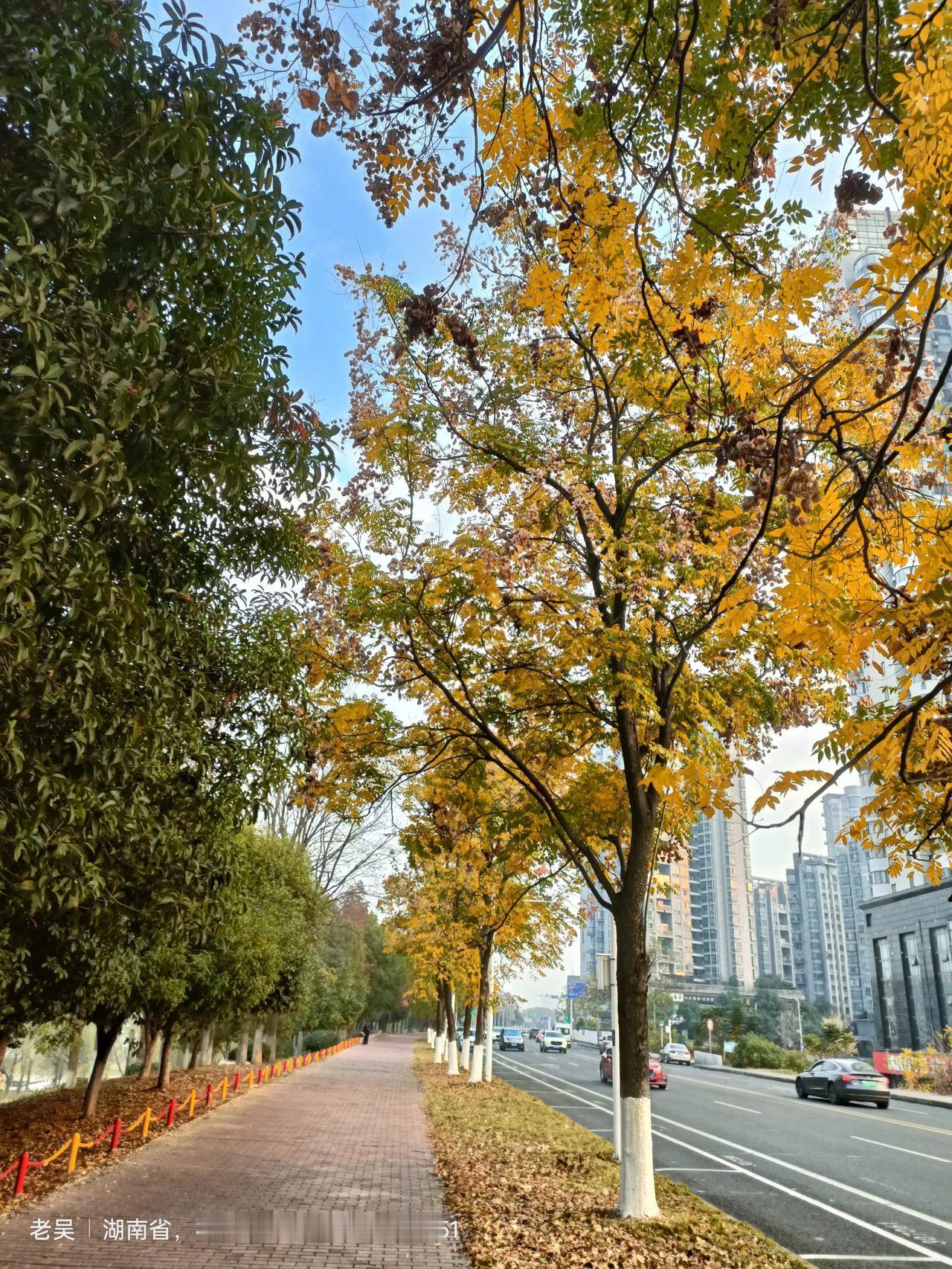 到株洲了,株洲有什么好玩的地方?株洲湘江风光带国家水利风景区