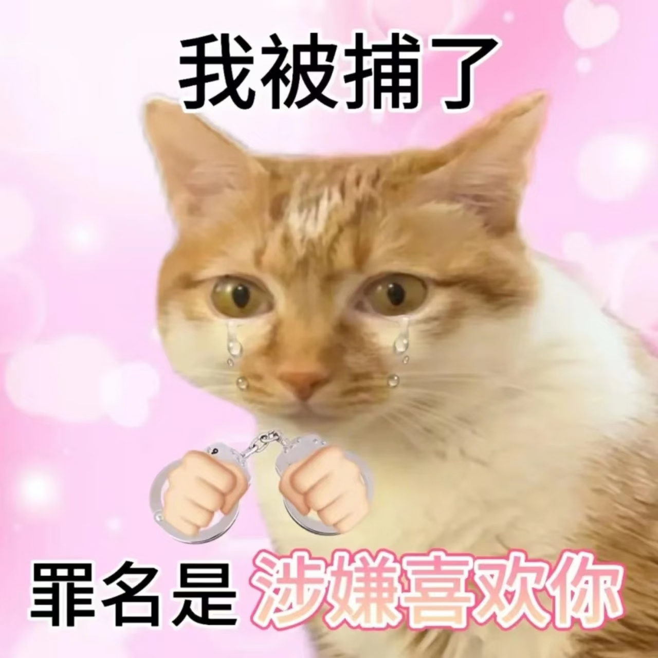 嗷嗷嗷好可爱的小室这次得夸你