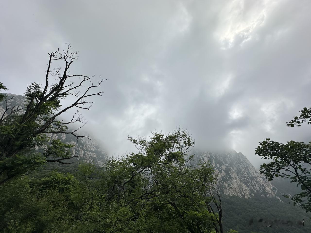 软风缓步越层山，拂去尘瘢鬓汗干。
墙外藤萝遮峻岭，西坡小院享清闲。

＿＿焖夏纳