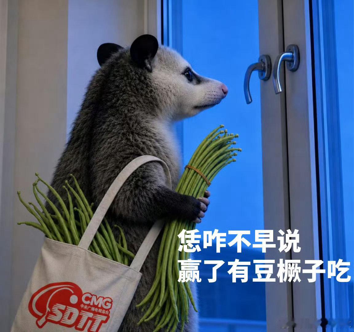 2. 陈梦复刻负鼠表情包负鼠表情包陈梦版 陈梦也太会整活了！复刻的负鼠表情包精准