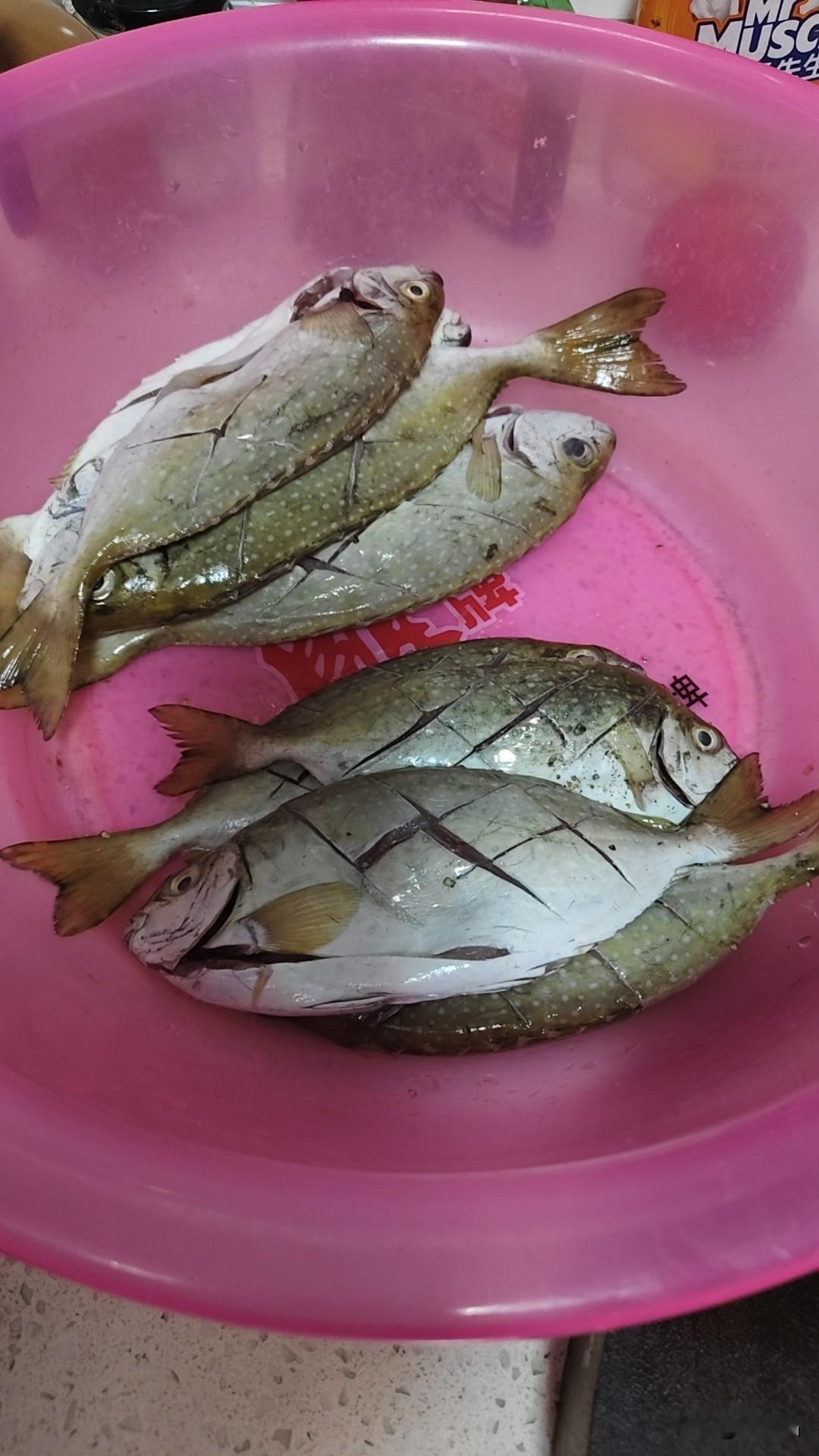 在家里我负责采购……今天晚上一鱼两吃，煎鱼和炖鱼，这个鱼您能叫出名字吗？我是第一